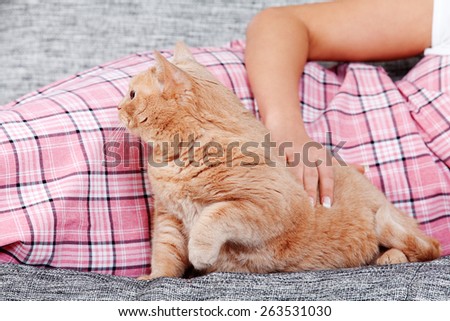 Young woman with cat lying on the sofa