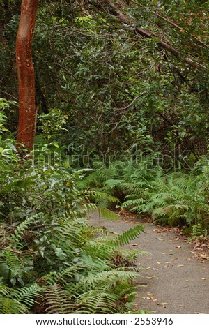 Gumbo Limbo Trail