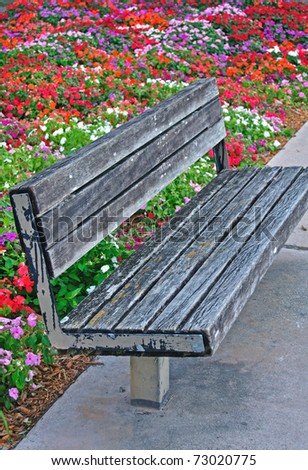 Old Park Bench in Miami, Florida with colorful flowers in the background