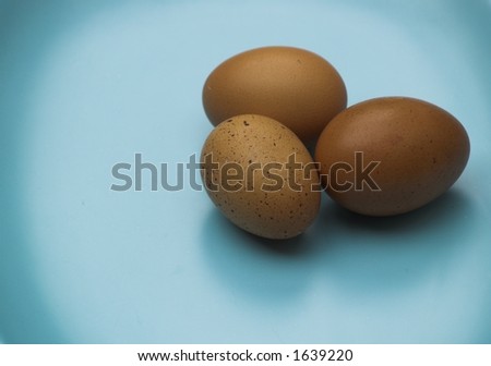 Three brown eggs on a duck-egg blue plate