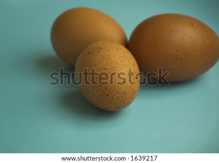 Three brown eggs on a duck-egg blue plate close up