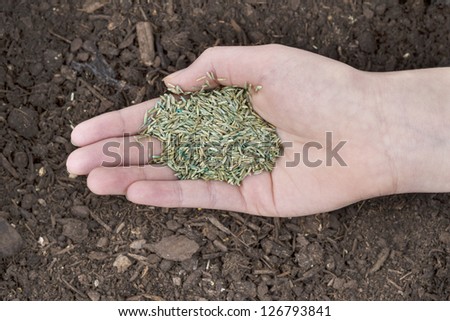 Horizontal position of Female hand holding new grass seed with fresh earth soil beneath as background