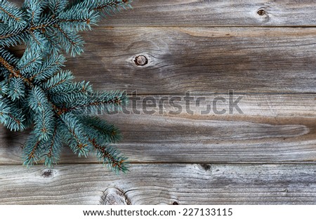 Christmas Tree Branch on Rustic wooden boards