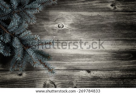 Vintage concept of a Christmas Tree Branch on Rustic wooden boards