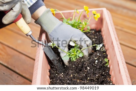 Hands, wearing gloves, holding hand tool with flowers in flowerbed on cedar deck