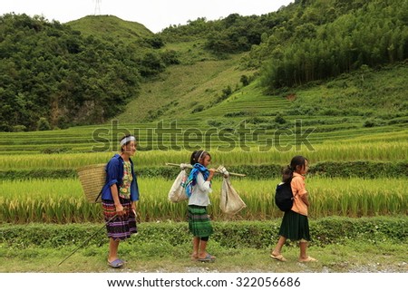 HAGIANG, VIETNAM - SEPTEMBER 19 : Unidentify hill tribes of Vietnamese walking green rice field on Sep. 2015, 19 at Hasaing, Vietnam.  \