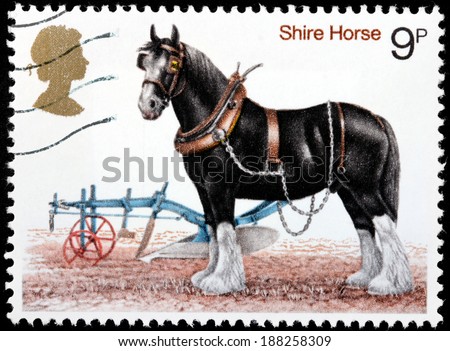 UNITED KINGDOM - CIRCA 1972: A stamp printed by GREAT BRITAIN shows Shire Horse - a breed of draught horse or draft horse. The breed comes in many colors, including black, bay and grey, circa 1972