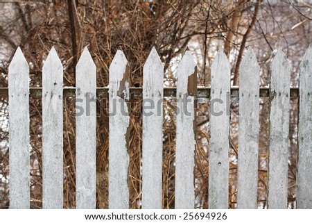An old and white picket fence.