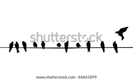 A silhouette of birds (Purple Martins) on a telephone wire.