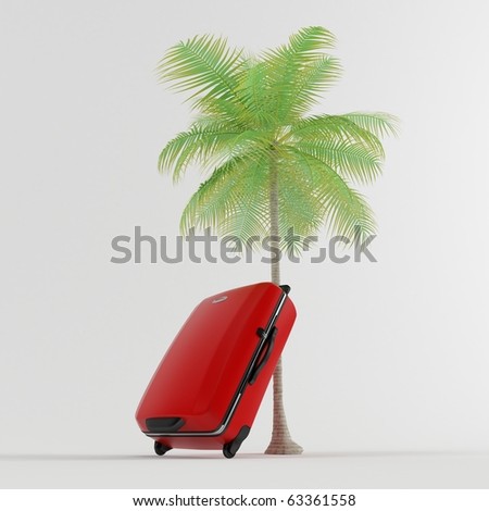 Travel Gear near the palm
