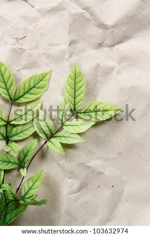 Green Leaves on recycle paper background