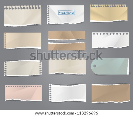 Collection of various note papers, ( Crumpled paper, Folded paper, Torn paper, Ripped papers )  Vector illustration.