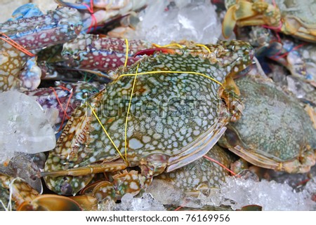 Pile of crabs fresh caught In the Market. closeup Useful for design-works.