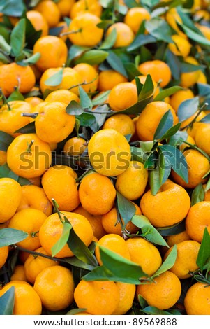 Fruit orange closeup Useful as background for design-works.