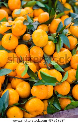 Fruit orange closeup Useful as background for design-works.