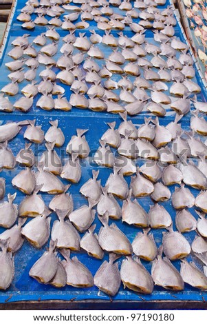 dried fish on net, seafood product at market from Thailand.