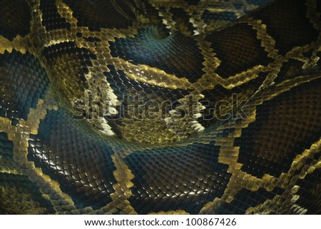 python snake skin and scales pattern macro