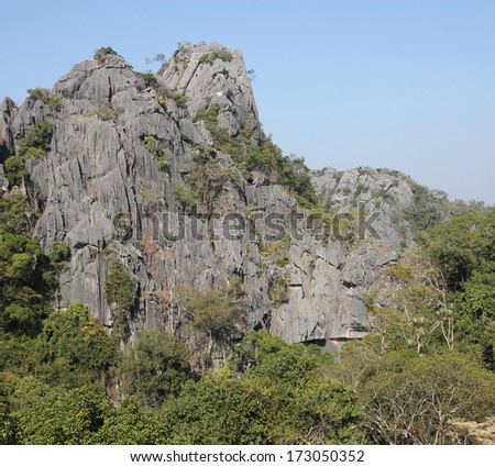 pine tree stand towering on the cliff in lushan,China