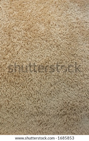 Grey Carpet Texture