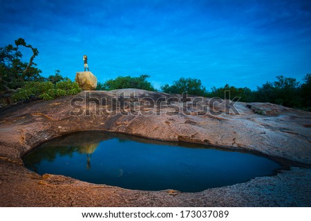 Person at rock pool in wilderness