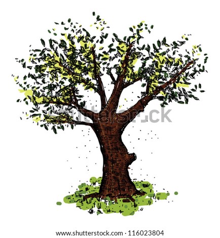 Tree, Drawn Colour Stock Vector Illustration 116023804 : Shutterstock