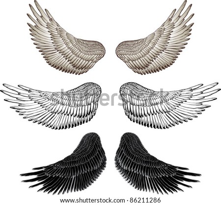 Eagle Wings Tattoo Designs on Eagle Wings   Vector Drawing   86211286   Shutterstock