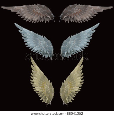 stock vector Wings vector drawing