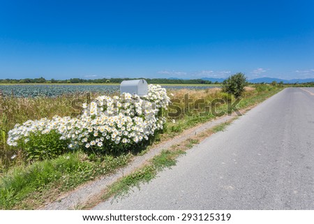 Mailbox by highway with flowers around it