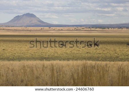 African landscape with volcano and elephants in the swamp (Tarangire Tanzania)