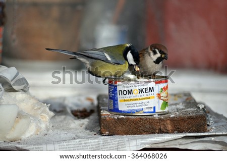 Birds eat out of a can out of humanitarian aid fund Renat Akhmetov. Donetsk region, Ukraine. The armed conflict in 2014