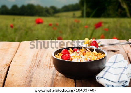 Cereal with milk and strawberries as outdoor shot