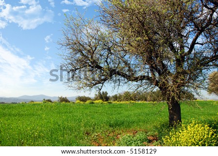 nature portrait