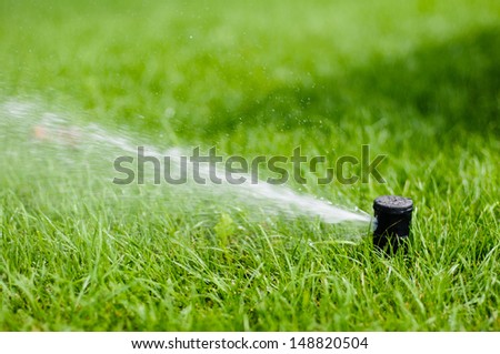 Sprinkler system working on fresh green grass