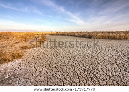 Cracked dry ground near Fremont, California, USA