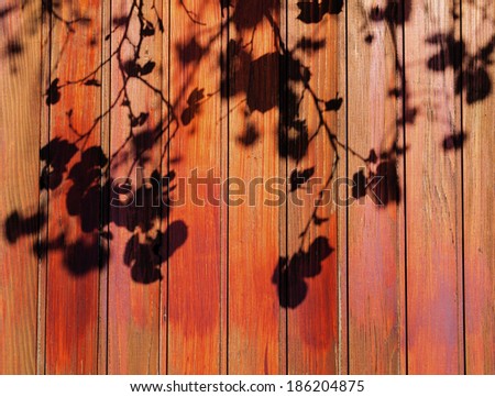 old wood wall texture background with sun shadow leaf