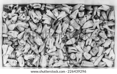 Collection of extracted teeth, black and white monochrome