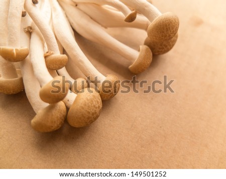 Japan mushroom Shimeji on brown paper background