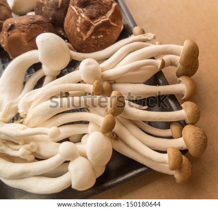 Japan mushroom Shimeji on brown paper background