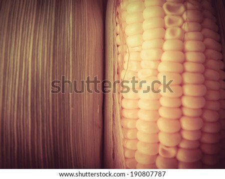Grains of ripe corn with retro filter effect