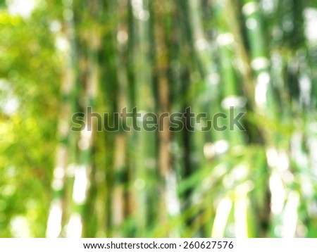 bamboo forest, abstract blur background for web design,  colorful, blurred, wallpaper,illustration