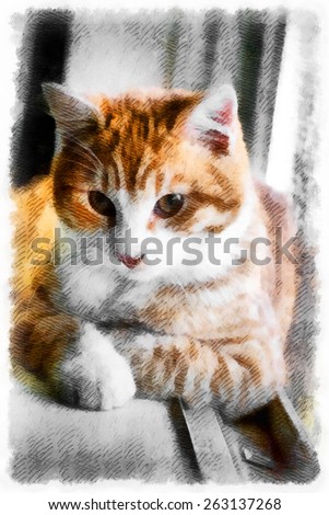 Abstract bright watercolor background,brown eyed cat,painting texture illustration