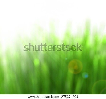 Fresh green grass with water droplet in sunshine,Abstract blur background for web design,colorful, blurred,texture, wallpaper,illustration