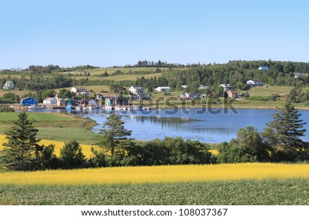 Summer landscape with rapeseed fields and fishing pier with boats  in central Prince Edward Island, Canada
