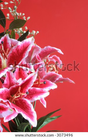 pink lily bunch with baby\'s breath and green leaves with copy space