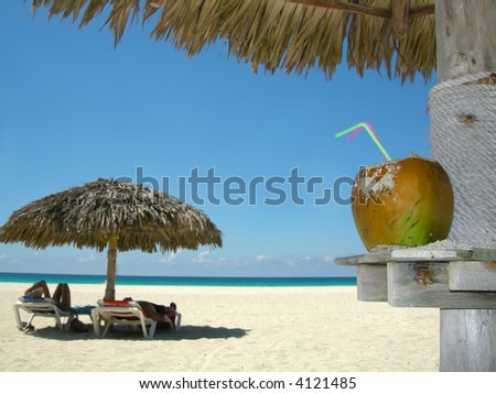 people relaxing under tropical huts with coconut in the foreground