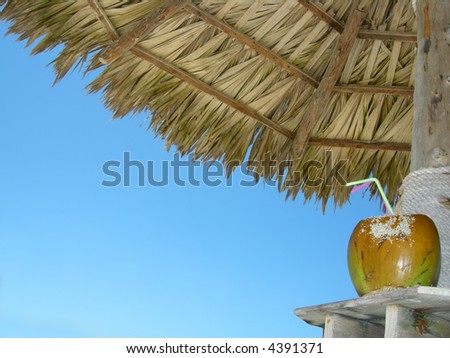exotic coconut drink with straws under tropical hut at the beach