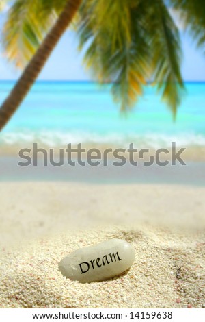 a dream stone in a sand mound on a tropical beach with palm tree and ocean in the background