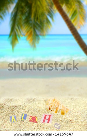 aloha on a mound of sand on a hawaiian tropical  beach with palm tree and ocean in the background
