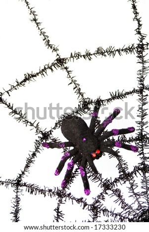 a black spider with spiderweb  background good for halloween