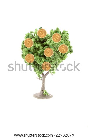 small miniature tree growing silver dollars isolated on a white background... guess money does grow on trees